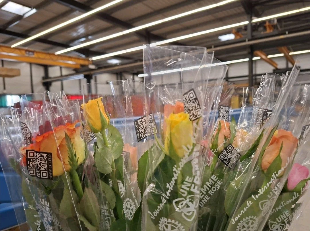Lire la suite à propos de l’article Une rose pour chacune et chacun chez MILLIRIS